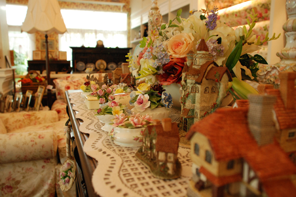 Catherine_Hyde_DSC_6556