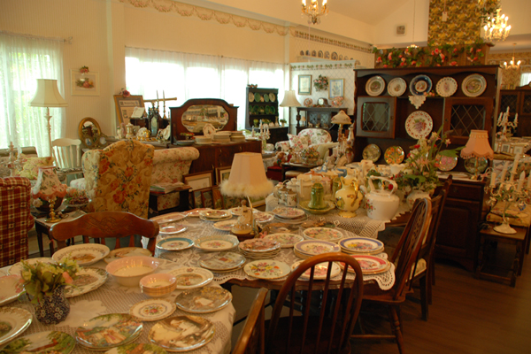 Catherine_Hyde_DSC_6628